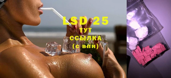 ГАЛЛЮЦИНОГЕННЫЕ ГРИБЫ Верея
