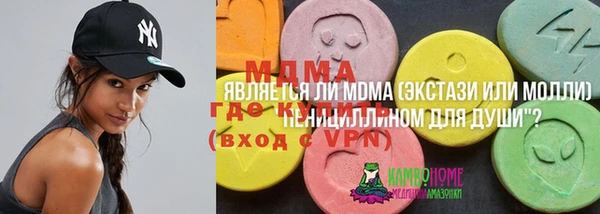 ГАЛЛЮЦИНОГЕННЫЕ ГРИБЫ Верея