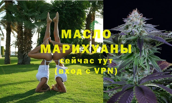 ГАЛЛЮЦИНОГЕННЫЕ ГРИБЫ Верея