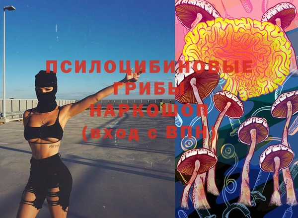 первитин Верхний Тагил