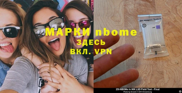 ГАЛЛЮЦИНОГЕННЫЕ ГРИБЫ Верея