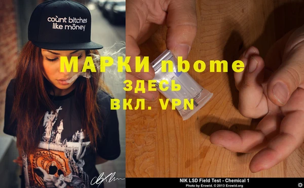 ГАЛЛЮЦИНОГЕННЫЕ ГРИБЫ Верея