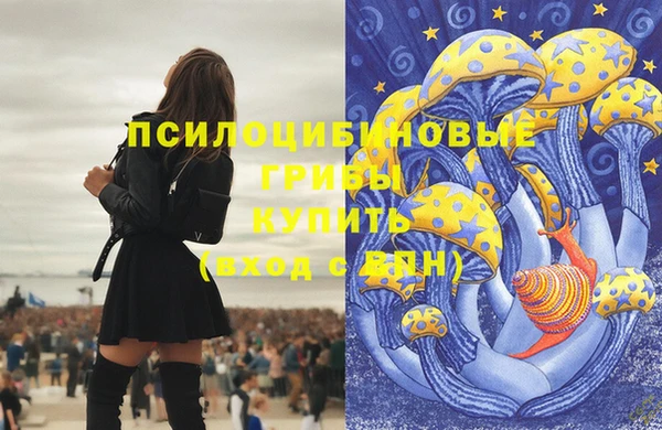 первитин Верхний Тагил