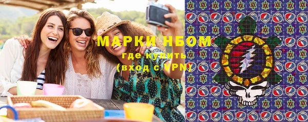 ГАЛЛЮЦИНОГЕННЫЕ ГРИБЫ Верея