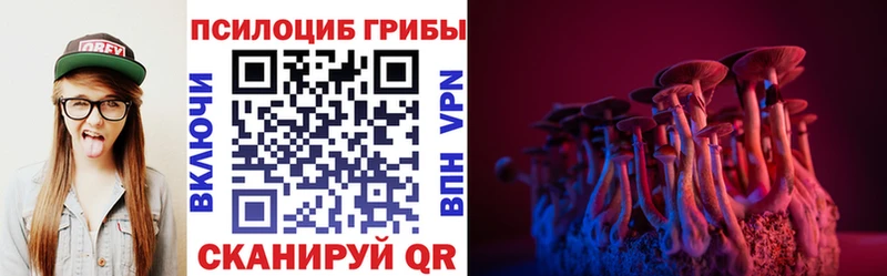 Купить где  Краснослободск  Псилоцибиновые грибы Magic Shrooms 
